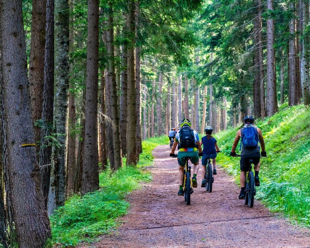 Mountain Biking